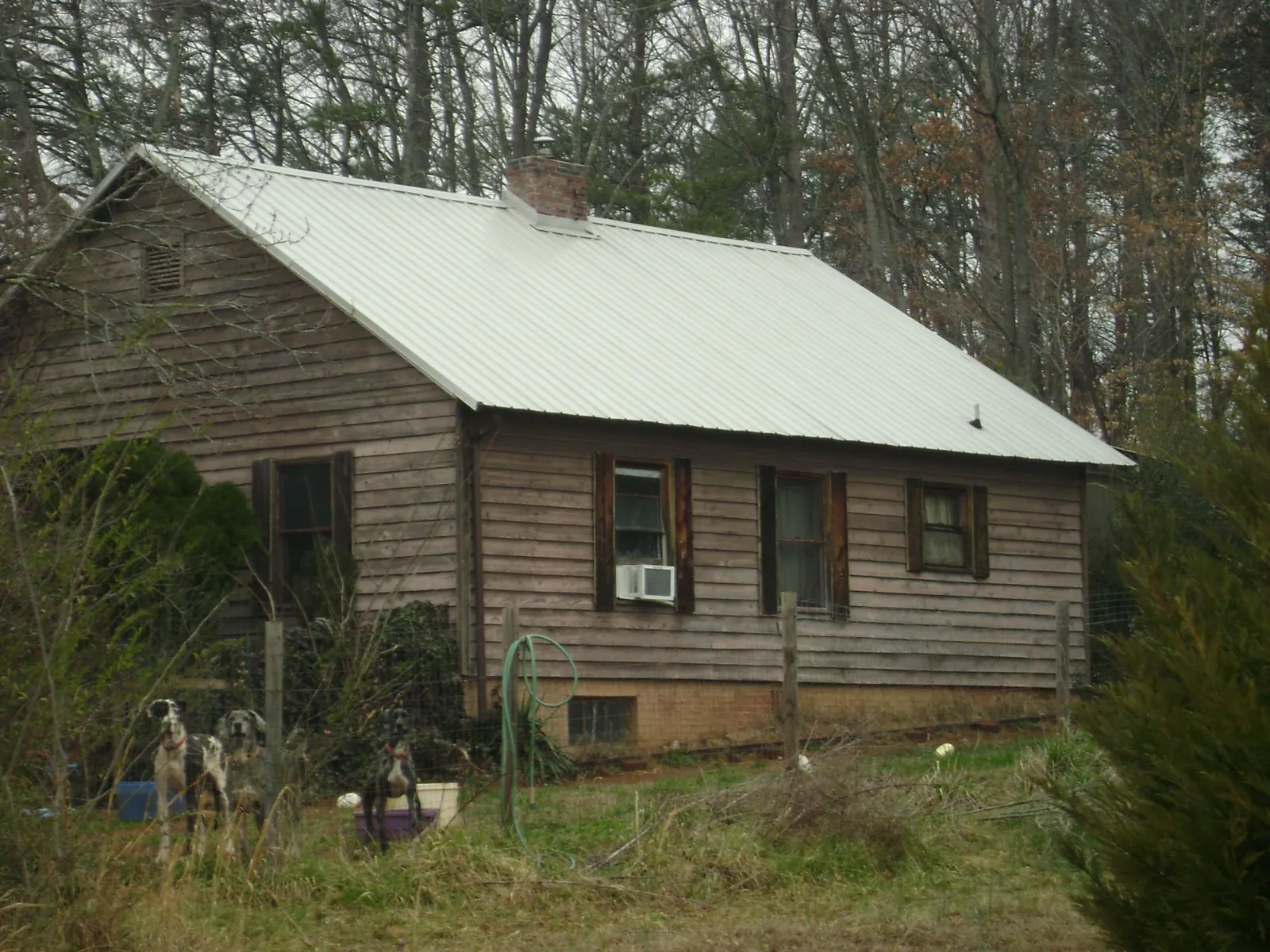 White metal roof on an old wood sided farmhouse, from a Asphalt Shingle Roof Repair job in Alledonia